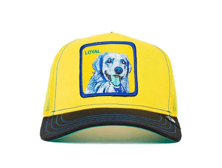 Jockey Goorin Bros Doggy Trip Unisex Amarillo - Image 2