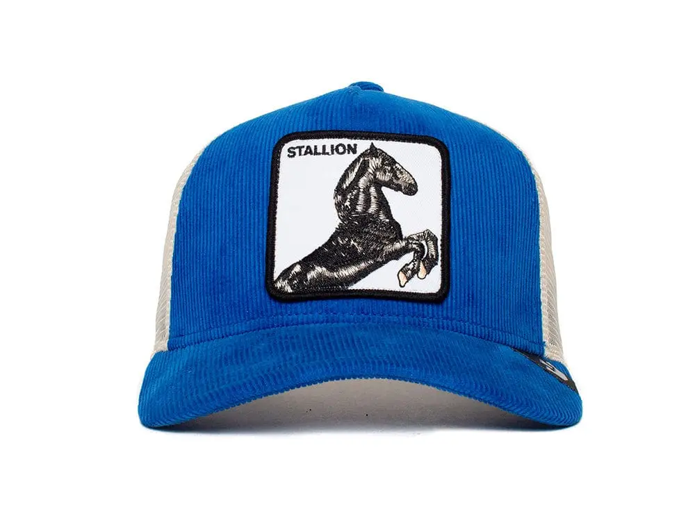 Jockey Goorin Sly Stallione Unisex Azul - Image 2